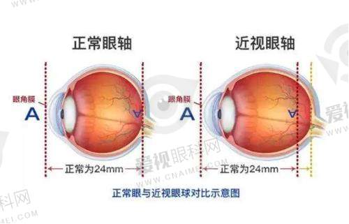 段安丽在北京哪些医院出诊