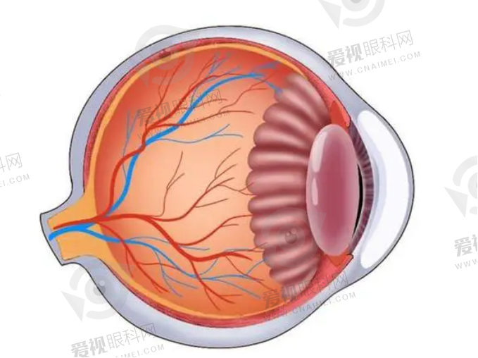 楚雄治疗泪道阻塞手术眼科医院排名，正规眼科技术在线口碑好盘点