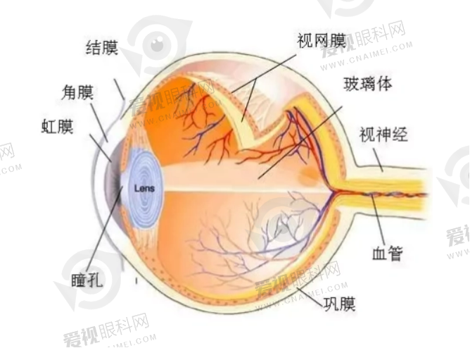 通辽治疗全飞秒激光手术眼科医院top5，医院介绍+特色+医生名单介绍