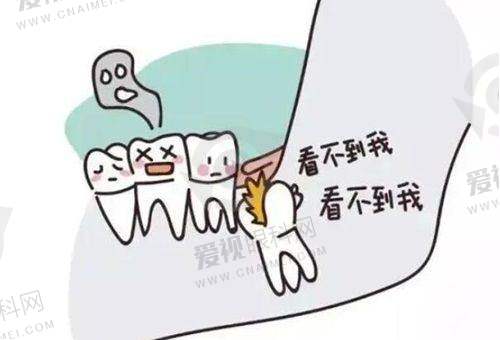 文章总结