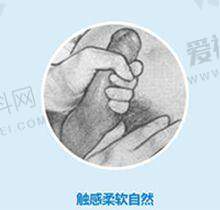 医院医生情况
