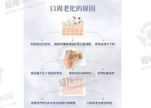 医生团队