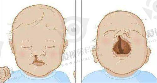 医生团队:实力强劲