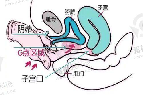 多样项目满足需求