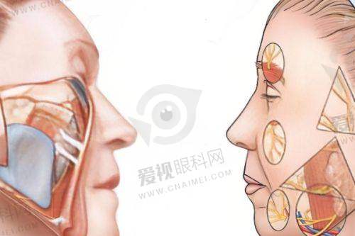 医院所获荣誉与资质