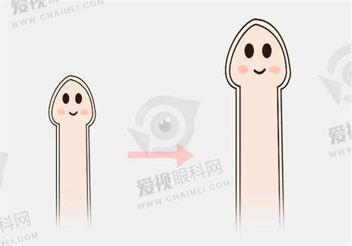 2025年收费价目表