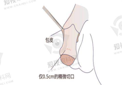 与评价