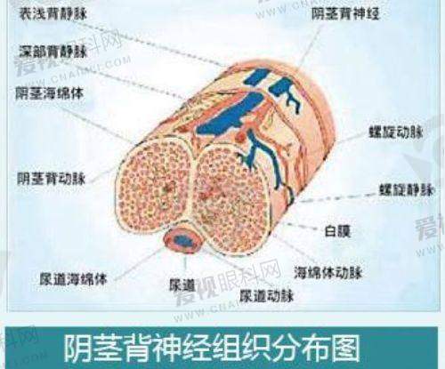 田永成医疗美容门诊部的未来展望