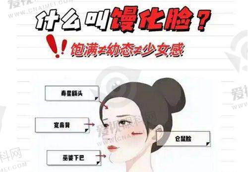 擅长项目科普