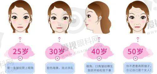 明星项目介绍