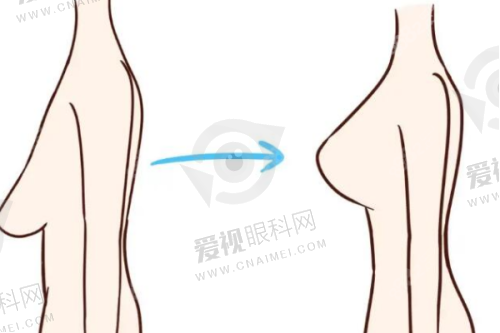 特色项目
