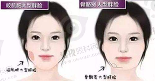 特色项目与技术优势