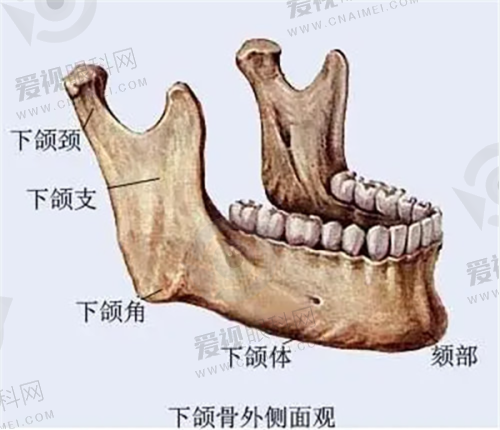 与其他植发医院对比