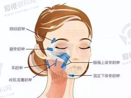 热门整形项目解析