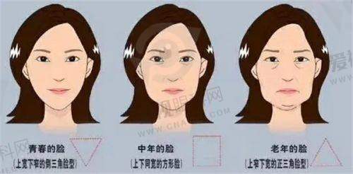 整形项目与医生团队