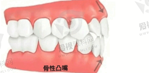 项目介绍