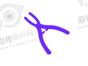 医院优势之交通方面