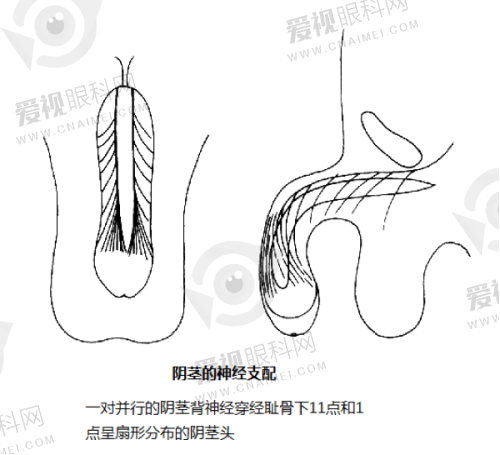 就诊相关信息