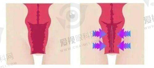 价格优势体现